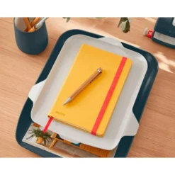 BANDEJA ORGANIZADORA LEITZ PLASTICO COLOR GRIS