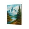 BASTIDOR 3D EXTRAGRUESO LIDERPAPEL 12P GRAPADO PARTE TRASERA ALGODON 100% 46X61 CM GRAMAJE 380G/M2 CERTIFICADO