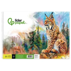 BLOC DIBUJO LIDERPAPEL ARTISTICO NATURA ESPIRAL 230X325MM 20 HOJAS 130G/M2 SIN RECUADRO PERFORADO
