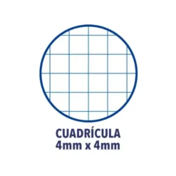 Bloc espiral Oxford cartoncillo tamaño cuarto 80 hojas Cuadricula 4mm