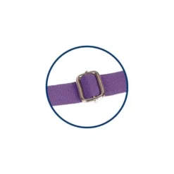 BOLSA ISOTERMICA OXFORD B-FOODIE RPET COLOR LAVANDA 220X250X160 MM