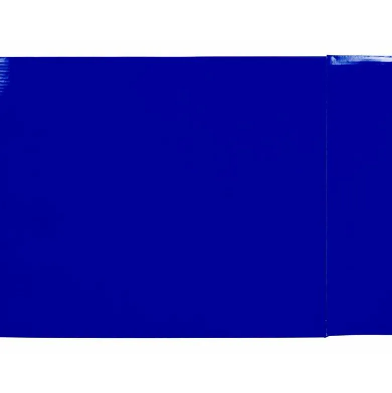 CAJA ARCHIVADOR LIDERPAPEL DE PALANCA CARTON FOLIO DOCUMENTA LOMO 75MM COLOR AZUL