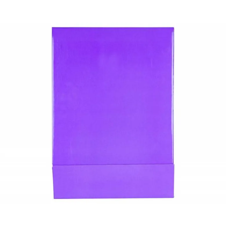 CAJA ARCHIVADOR LIDERPAPEL DE PALANCA CARTON FOLIO DOCUMENTA LOMO 75 MM LILA