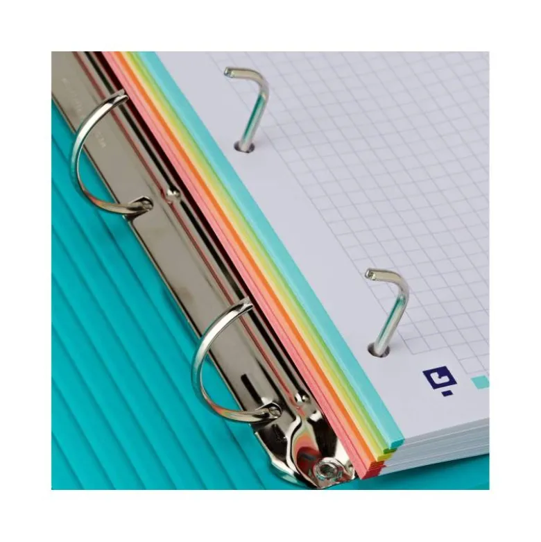 CARPETA ANILLAS OXFORD EUROPEANBINDER FOREST DIN A4+ CON RECAMBIO CUADRO 5MM