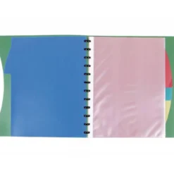 CARPETA LIDERPAPEL A4 CON 40 FUNDAS INTERCAMBIABLES 5 SEP SOBRE Y GOMILLA PORTADA Y LOMO PERSONALIZABLE VERDE