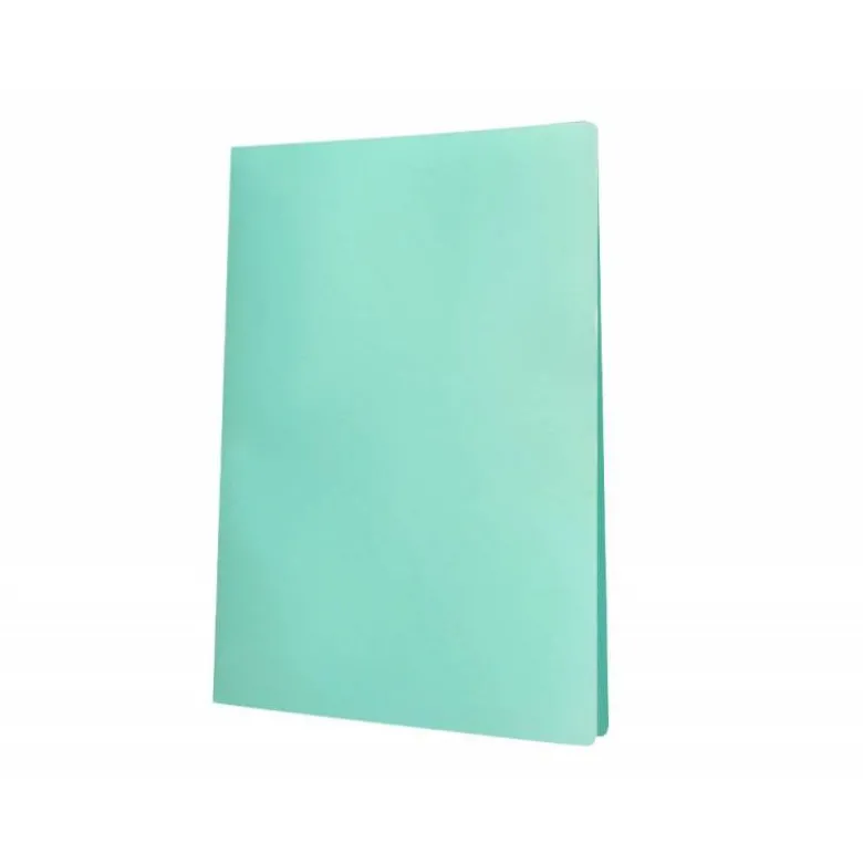 CARPETA LIDERPAPEL ESCAPARATE 80 FUNDAS POLIPROPILENO DIN A4 VERDE MANZANA OPACO