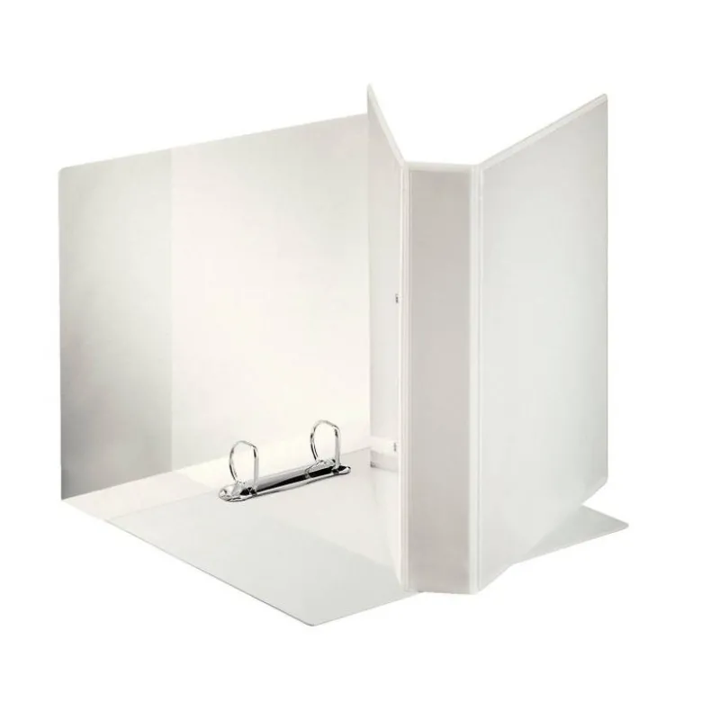 Carpeta canguro Esselte con 2 anillas 40mm