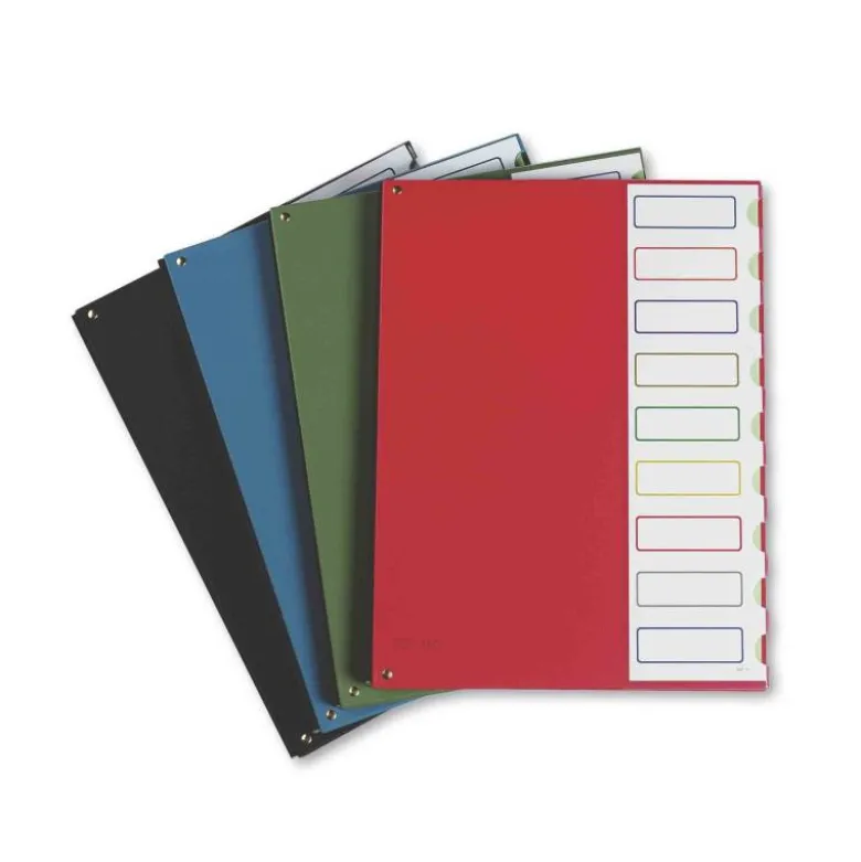 Carpeta clasificadora de plastico Pardo negro