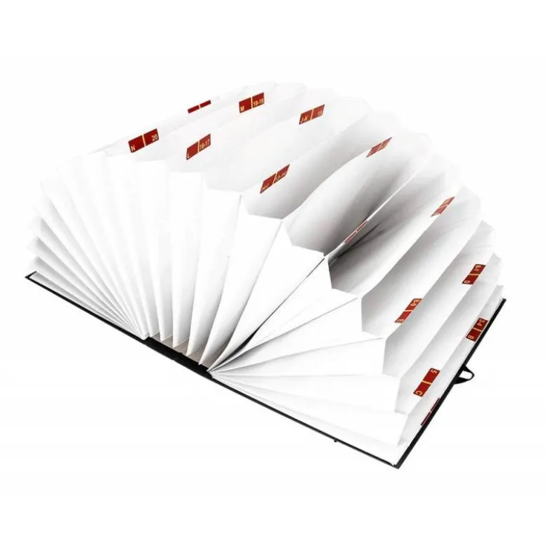 Carpeta clasificadora folio carton Liderpapel negro