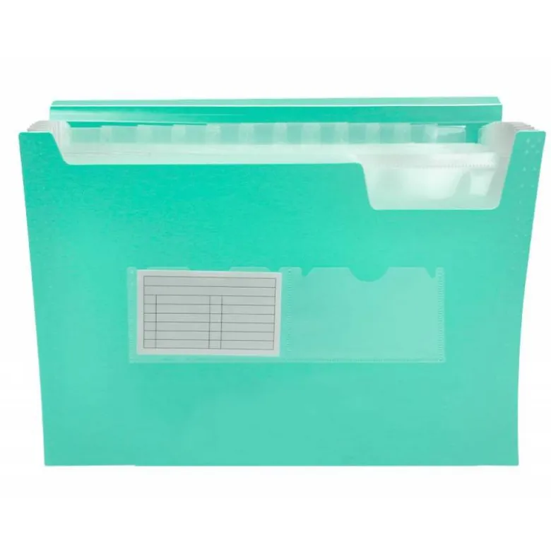 Carpeta clasificadora fuelle Liderpapel DIN A4 poliporpileno 13 departamentos color verde
