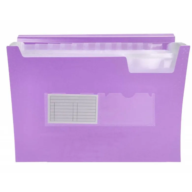 Carpeta clasificadora fuelle Liderpapel DIN A4 poliporpileno 13 departamentos color violeta