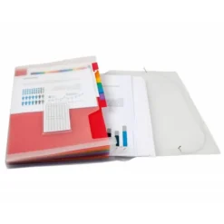 Carpeta clasificadora gomas polipropileno Beautone Din A4