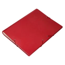 Carpeta clasificadora Paper Coat Liderpapel folio rojo