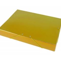 Carpeta de proyectos Liderpapel de carton gomas 5 cm