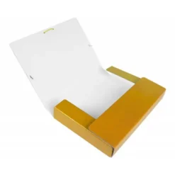 Carpeta de proyectos Liderpapel de carton gomas 5 cm
