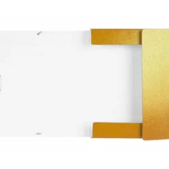 Carpeta de proyectos Liderpapel de carton gomas 5 cm