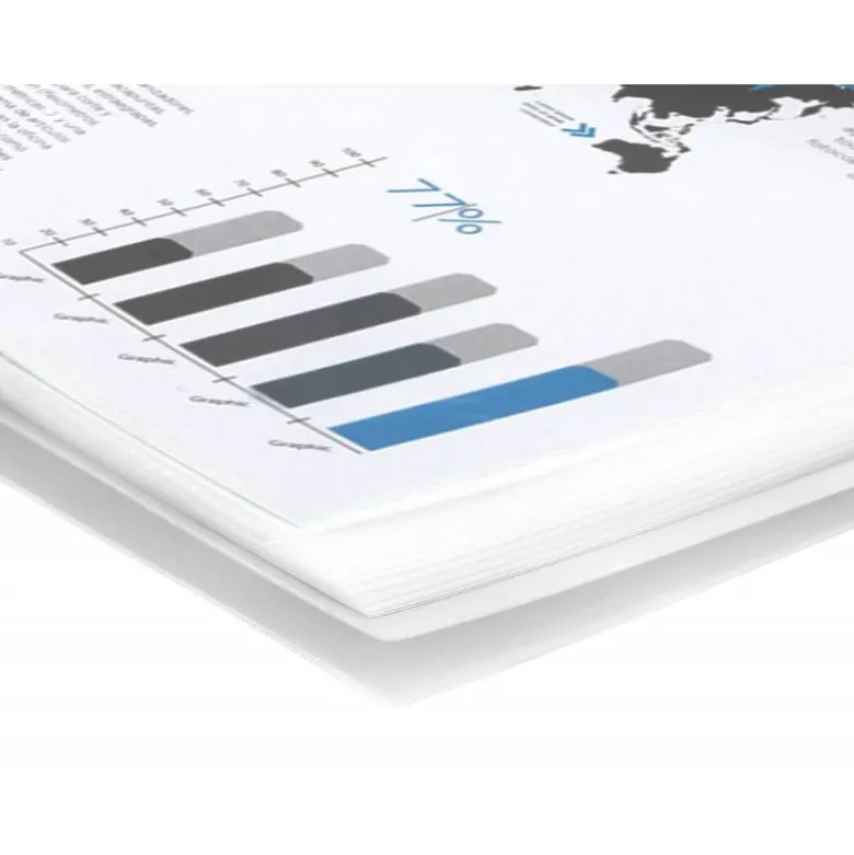 Carpeta escaparate Liderpapel DIN A4 60 fundas polipropileno color transparente