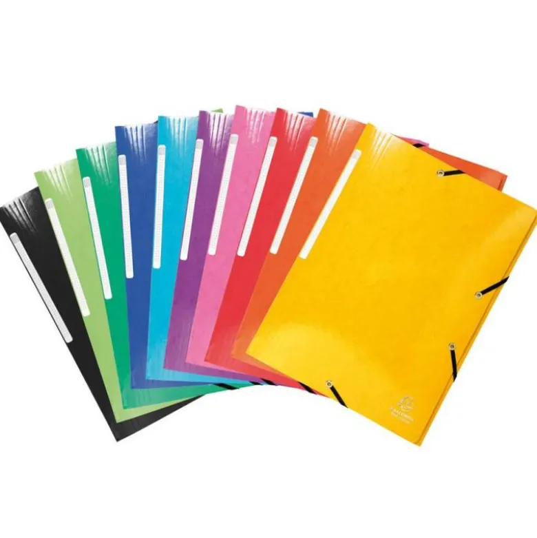 Carpeta gomas Exacompta Din A4 prolongado
