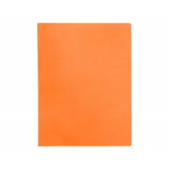 CARPETA LIDERPAPEL ESCAPARATE 60 FUNDAS POLIPROPILENO DIN A4 NARANJA FLUOR OPACO