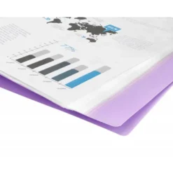 CARPETA LIDERPAPEL ESCAPARATE 60 FUNDAS POLIPROPILENO DIN A4 LAVANDA OPACO