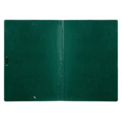 Carpetas de gomas carton Liderpapel Din A2 verde