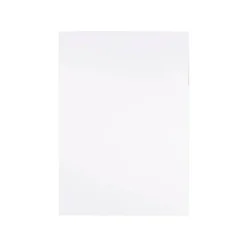 CARTON PLUMA LIDERPAPEL BLANCO DOBLE CARA 100X140CM ESPESOR 10 MM