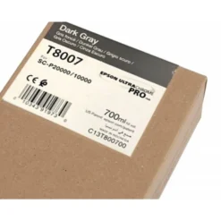 CARTUCHO INK-JET EPSON T8007 COLOR GRIS C13T800700