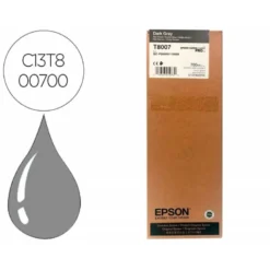 CARTUCHO INK-JET EPSON T8007 COLOR GRIS C13T800700