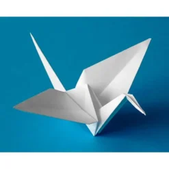 Cartulina Color Blanco Liderpapel 50x65 cm 180 gr