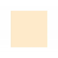 Cartulina Gvarro color Carne 50x65 cm 185 gr