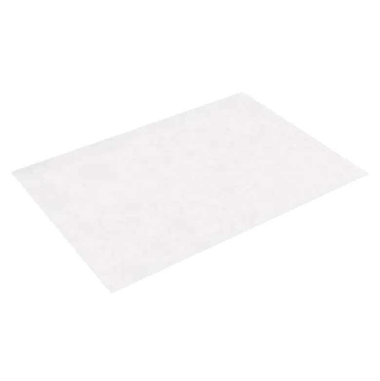 CARTULINA LIDERPAPEL A3 180G/M2 BLANCO PAQUETE DE 25+5 HOJAS EN CARPETA DOSSIER TRANSPARENTE CON CIERRE