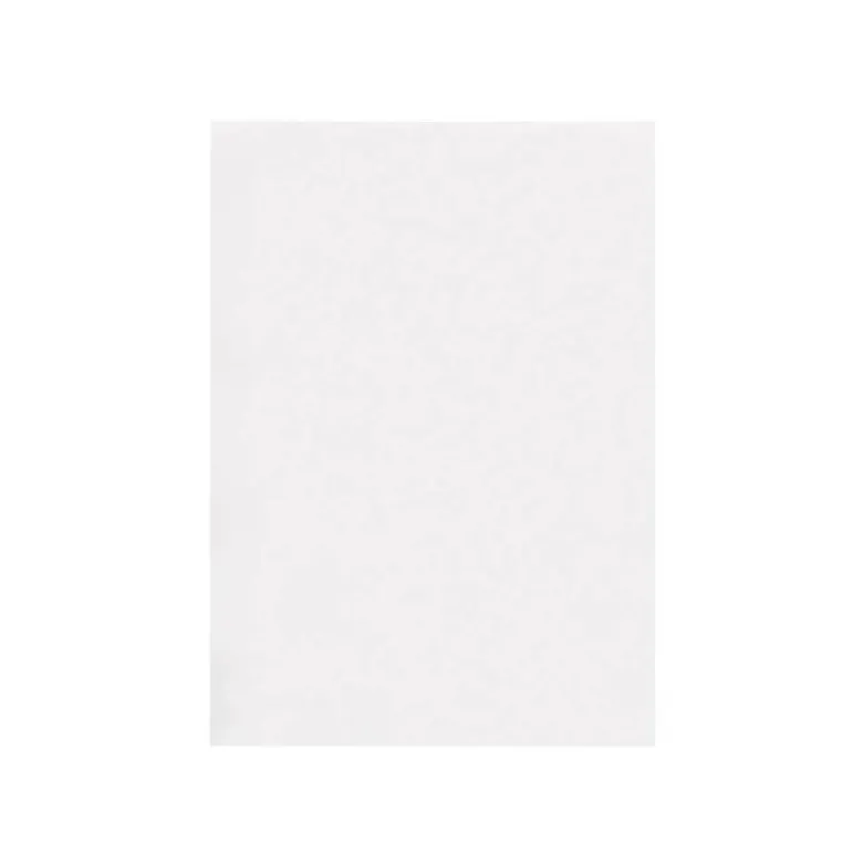 CARTULINA LIDERPAPEL A3 180G/M2 BLANCO PAQUETE DE 25+5 HOJAS EN CARPETA DOSSIER TRANSPARENTE CON CIERRE