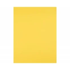 Cartulina Liderpapel color Amarillo Limón 50x65 cm 240 gr 25 unidades