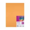 Cartulina Liderpapel color Avellana 50x65 cm 240 gr 25 unidades