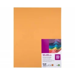 Cartulina Liderpapel color Avellana 50x65 cm 180 gr 25 unidades