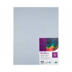 Cartulina Liderpapel color Gris 50x65 cm 180 gr 25 unidades