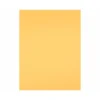 Cartulina Liderpapel color oro 240 g/m2