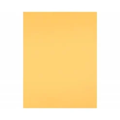 Cartulina Liderpapel color Oro 50x65 cm 180 gr 25 unidades