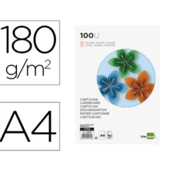 Cartulina Liderpapel color salmon a4 180 g/m2
