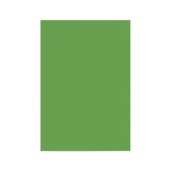 Cartulina Liderpapel color verde abeto a4 180 g/m2