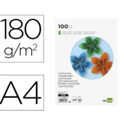 Cartulina Liderpapel color verde abeto a4 180 g/m2