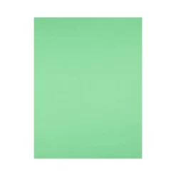 Cartulina Liderpapel color verde pistacho 240 g/m2