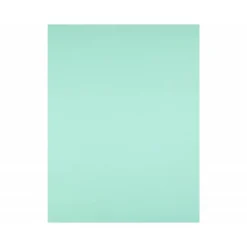 Cartulina Liderpapel Color Verde Paquete de 25