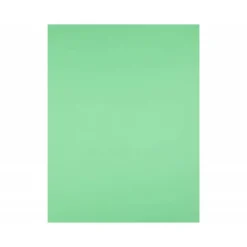 Cartulina Liderpapel Color Verde Pistacho Paquete de 25 unidades
