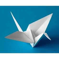 Cartulina Liderpapel 240 g/m2 color blanco