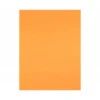 Cartulina Liderpapel 240 g/m2 color nectarina