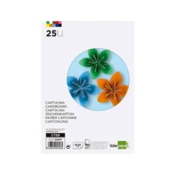 CARTULINA LIDERPAPEL 50X65 CM 180G/M2 25 COLORES SURTIDOS PAQUETE DE 25 HOJAS