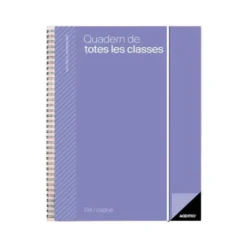 CUADERNO DE TODAS LAS CLASES PROFESORADO ADDITTIO 256 PAGINAS DIA PAGINA COLOR VERDE 170X240 MM CATALAN