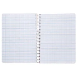 CUADERNO ESPIRAL LIDERPAPEL DIN A5 PAUTAGUIA TAPA PLASTICO 80H 90GR CUADRO PAUTADO 3 MM CON MARGEN COLOR AZUL