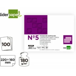 Ficha liderpapel lisa nº5 160x220mm paquete de 100 180g